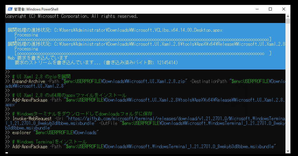 「Windowsターミナル」を Windows Server 2022 Datacenter エディションに手軽にインストールする方法