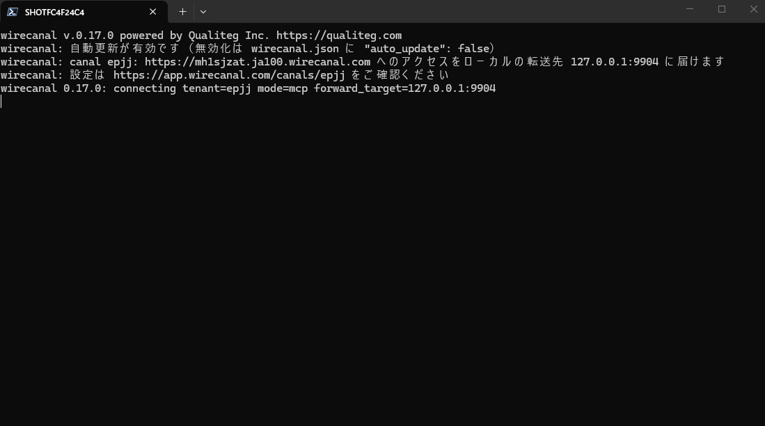Agentの起動ログ。公開URLへのアクセスを 127.0.0.1:9904 に届ける旨が表示される